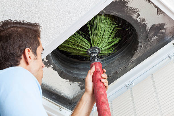 Best Dryer Vent Cleaning Services  in Davie, FL